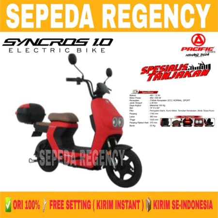 Pacific Syncros 1.0